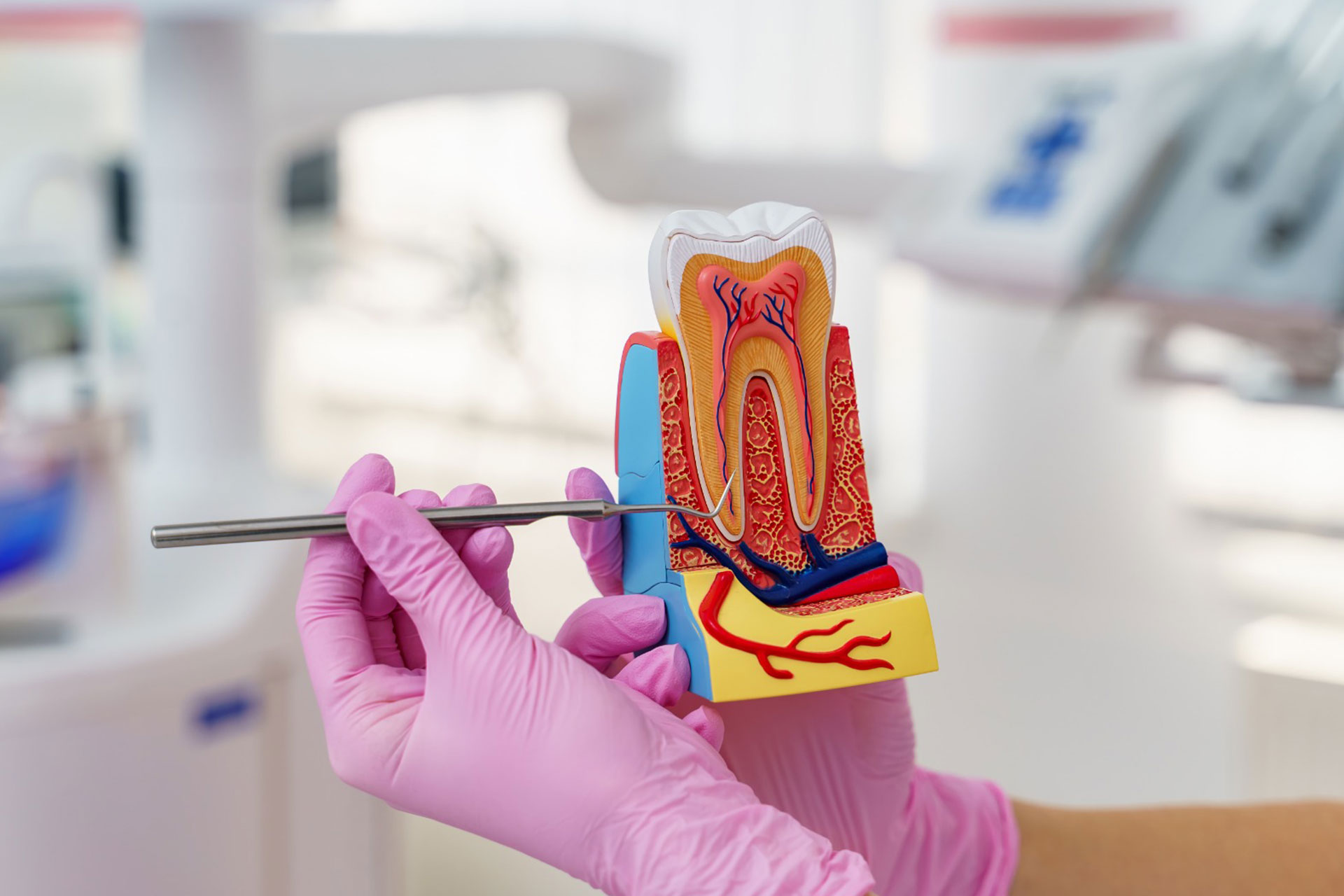 Endodontics
